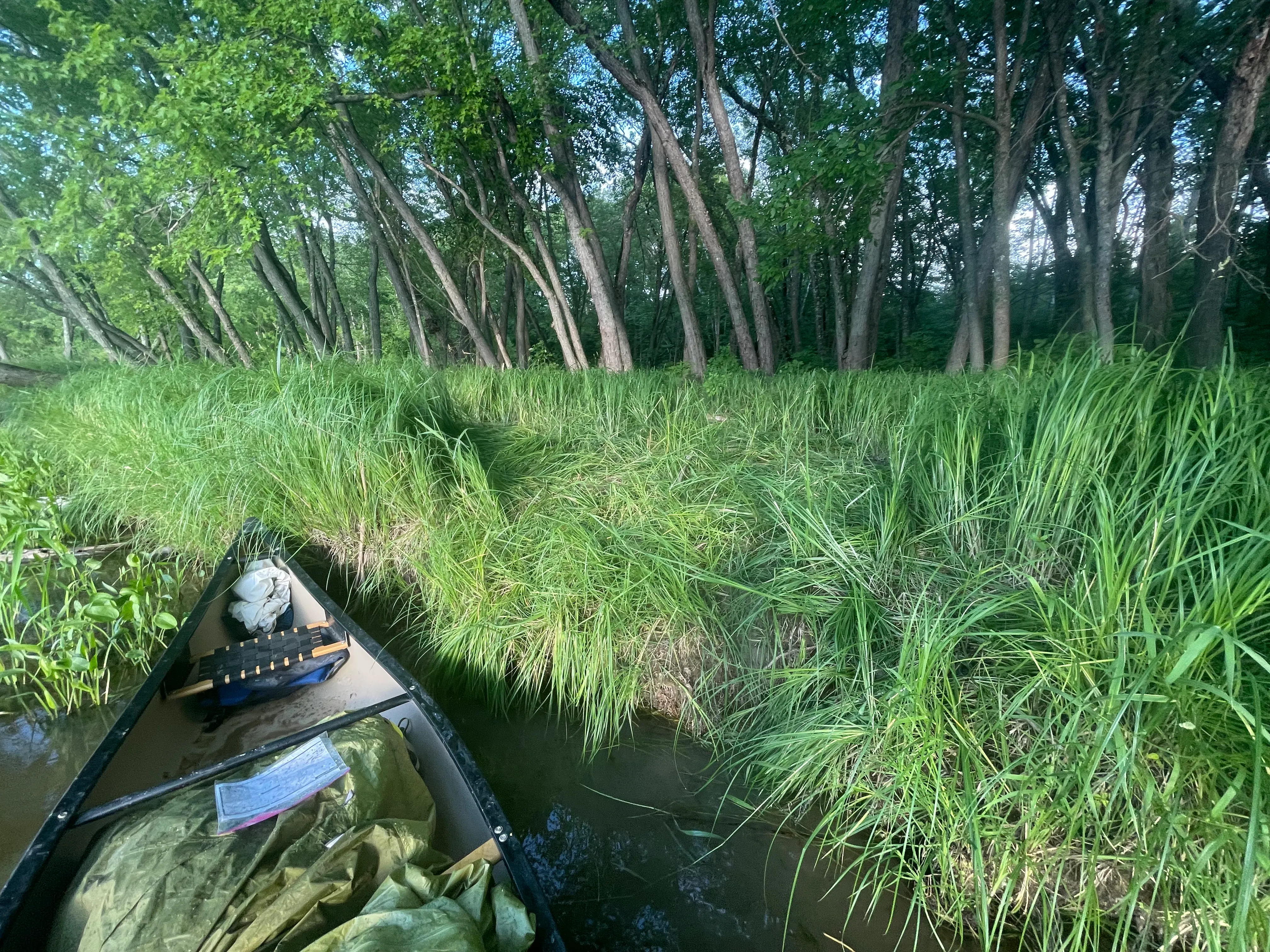 Canoing Mississippi